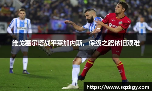 bsports必一体育